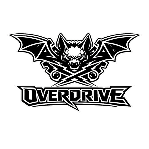 OVERDRIVE STORE
